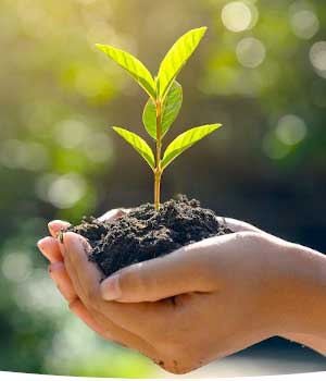 environmentally friendly environmentally friendly